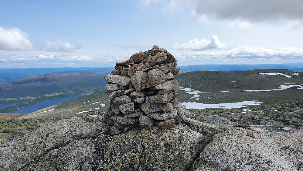 Gråskarvet