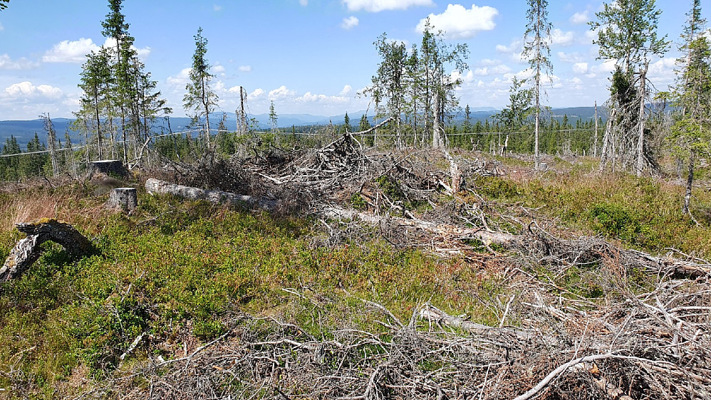 Trettehøgda, høyeste punkt