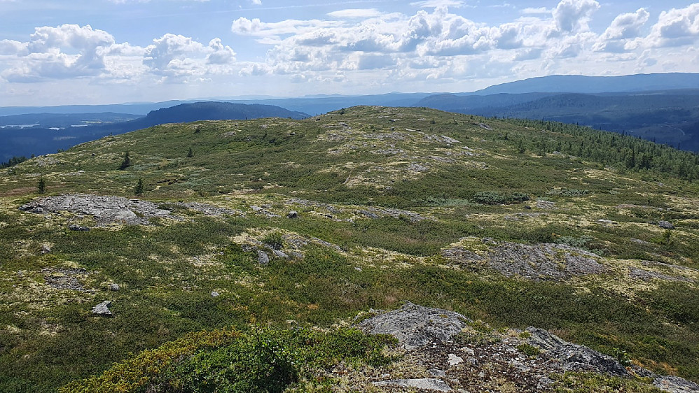 Måsårandin. Utsikt sørover.
