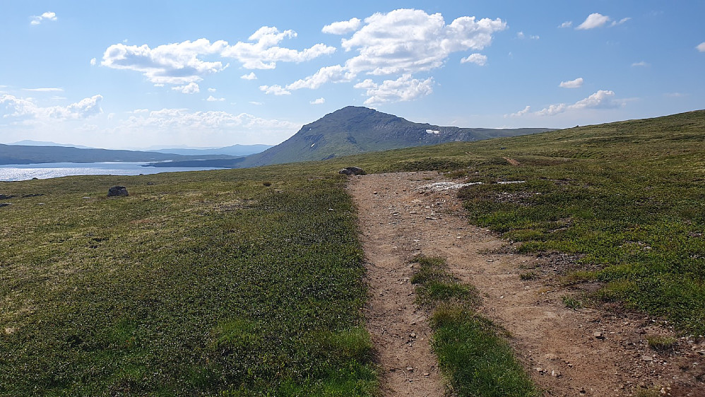 Forollhogna i sikte