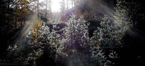 Motlys og frost 2