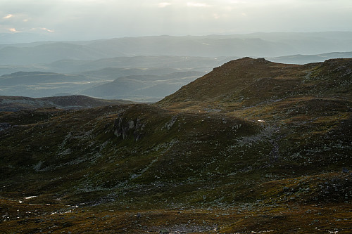Strølys i sommerkvelden sett fra Ranten