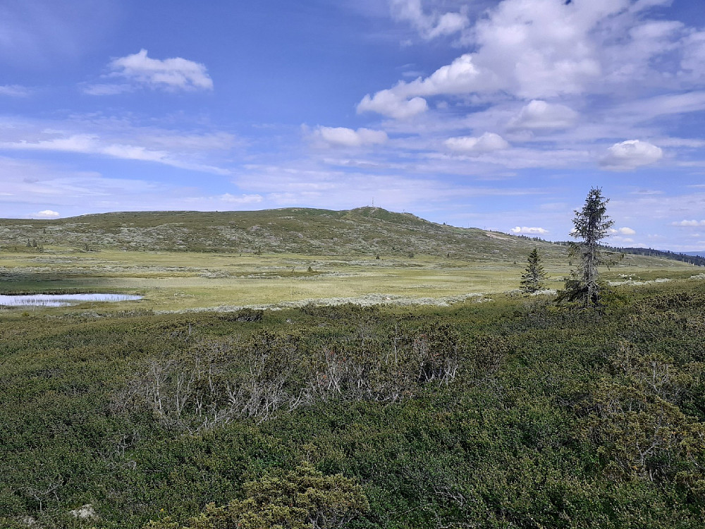 Storefjelltoppen