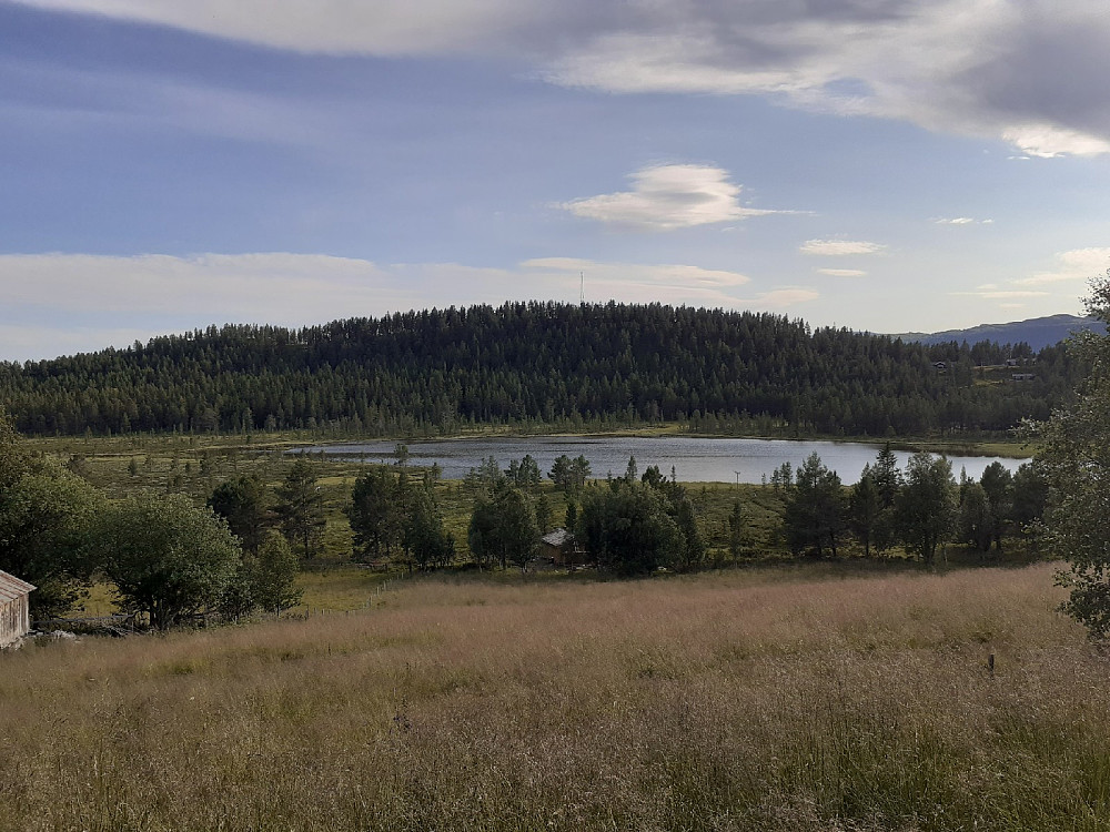 Langtjønnhaugen