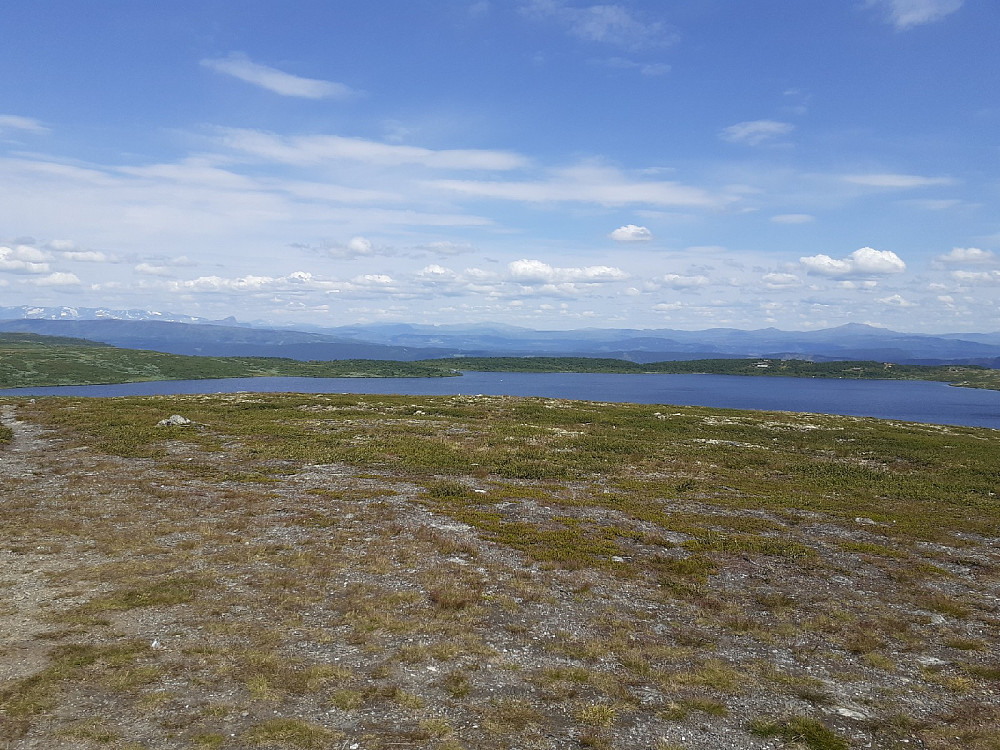Vannet Fiskeløyse, og Bitihorn skimtes bak til venstre.