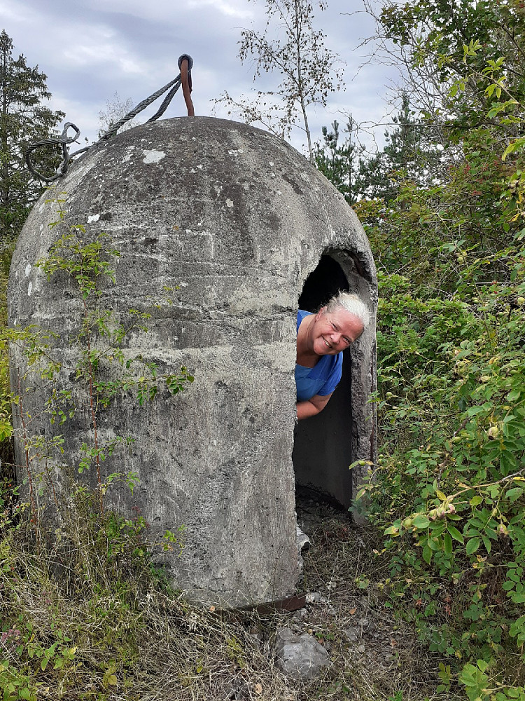 Spregningsvern