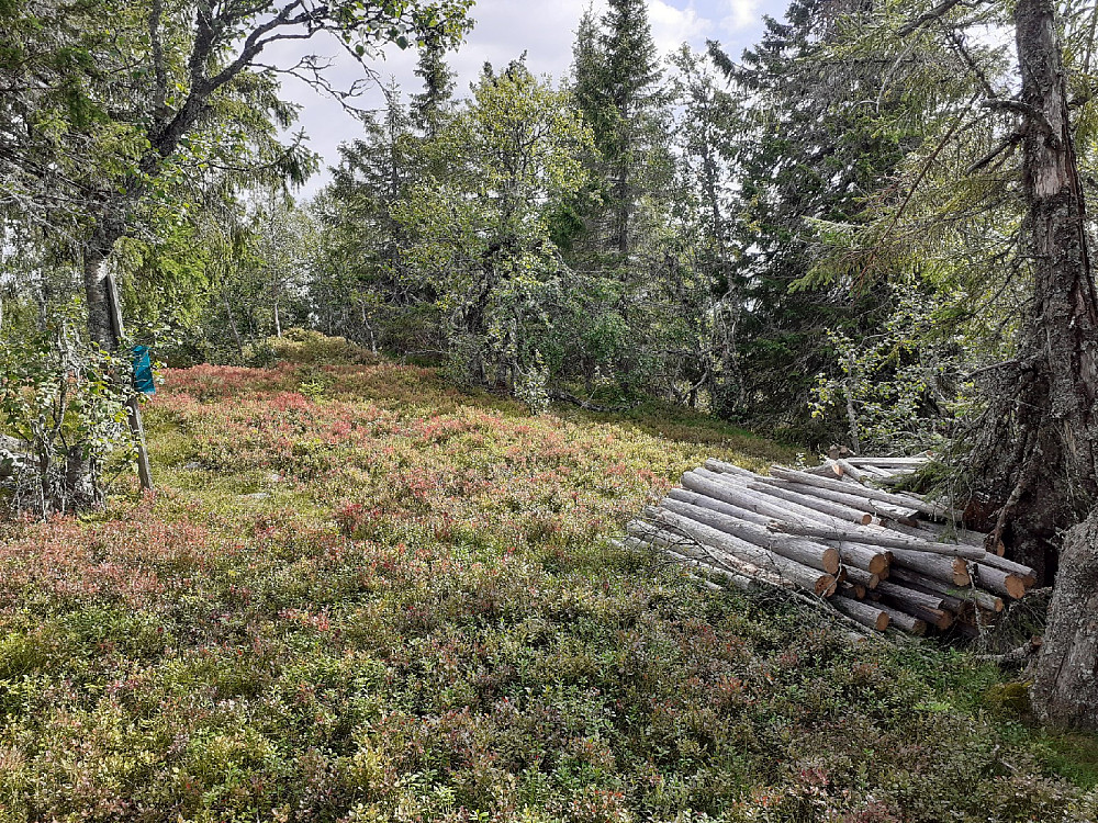 Tårnet på toppen er sagd opp til ved