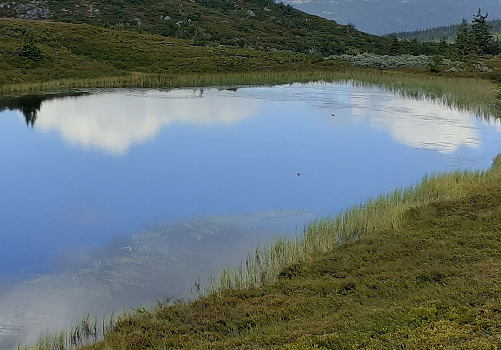 Satt ved vannet og så på en and som svømte