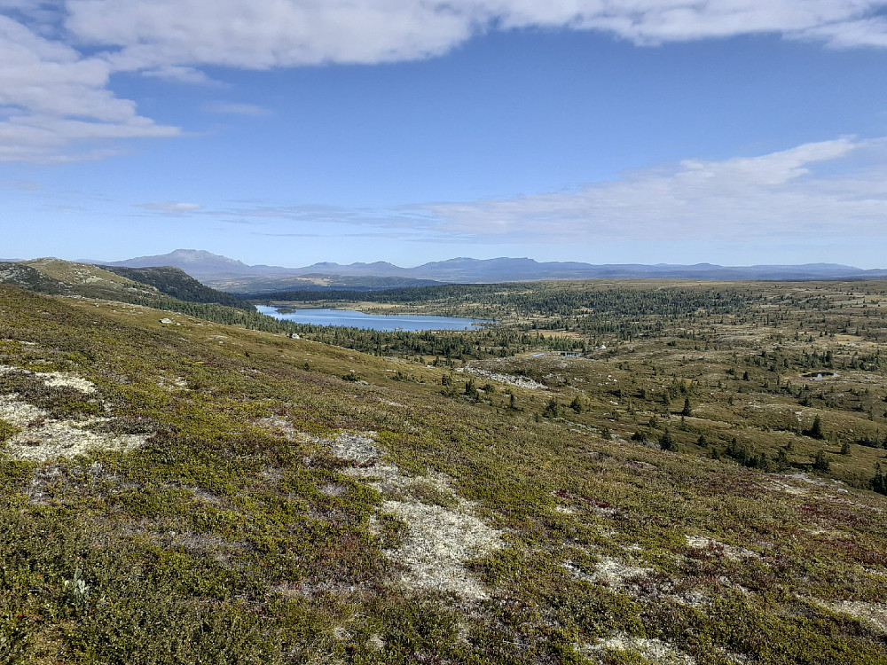 Utsikt mot Skaget