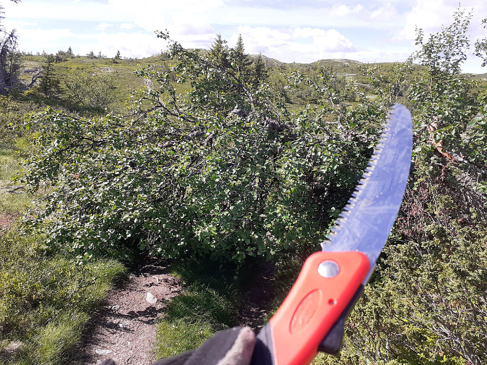 Klar til innsats på stien.