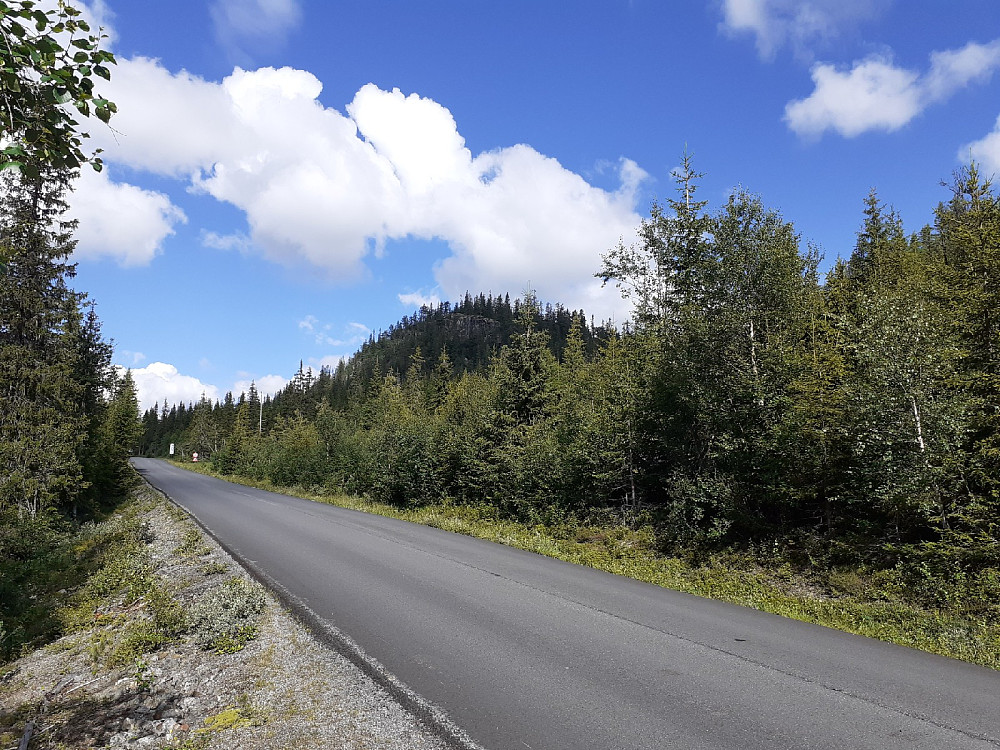 Petatkollen sett fra veien. Ikke store turen, men noe bratt oppi lia, var det.