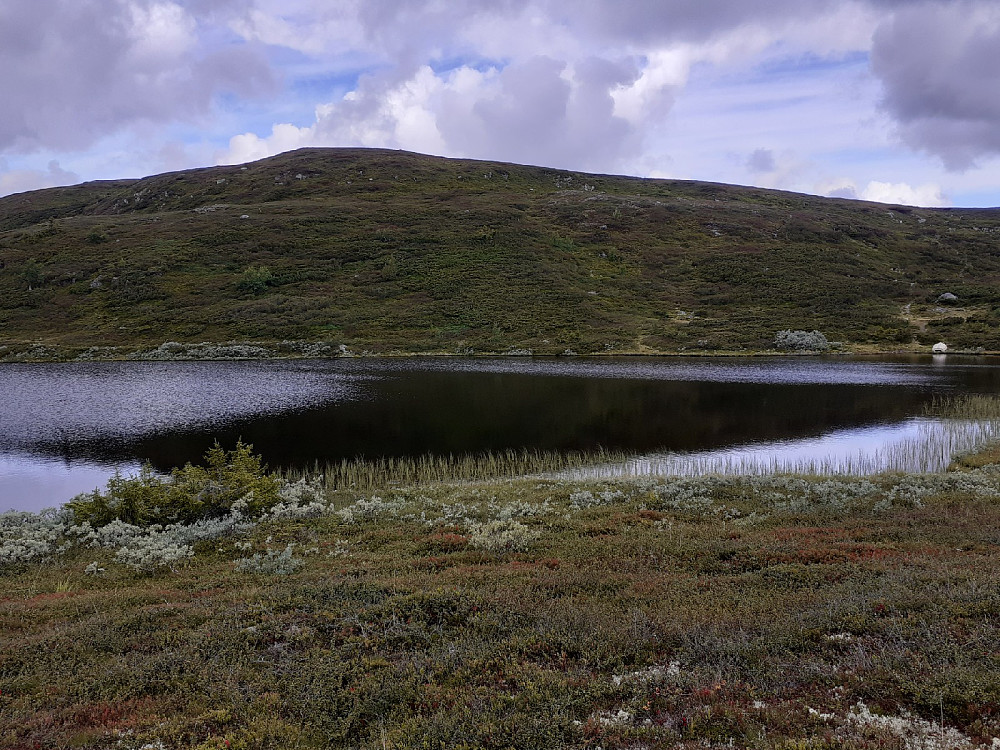 Opp mot Bjødalskampen. Ikke det store lyset i dag, og litt ensarta farger i fjellet.