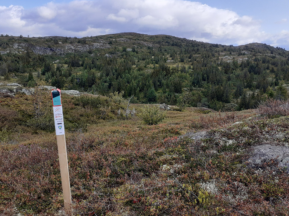 Ølnesseterfjellet. Siste stolpe på stolpekartet her.