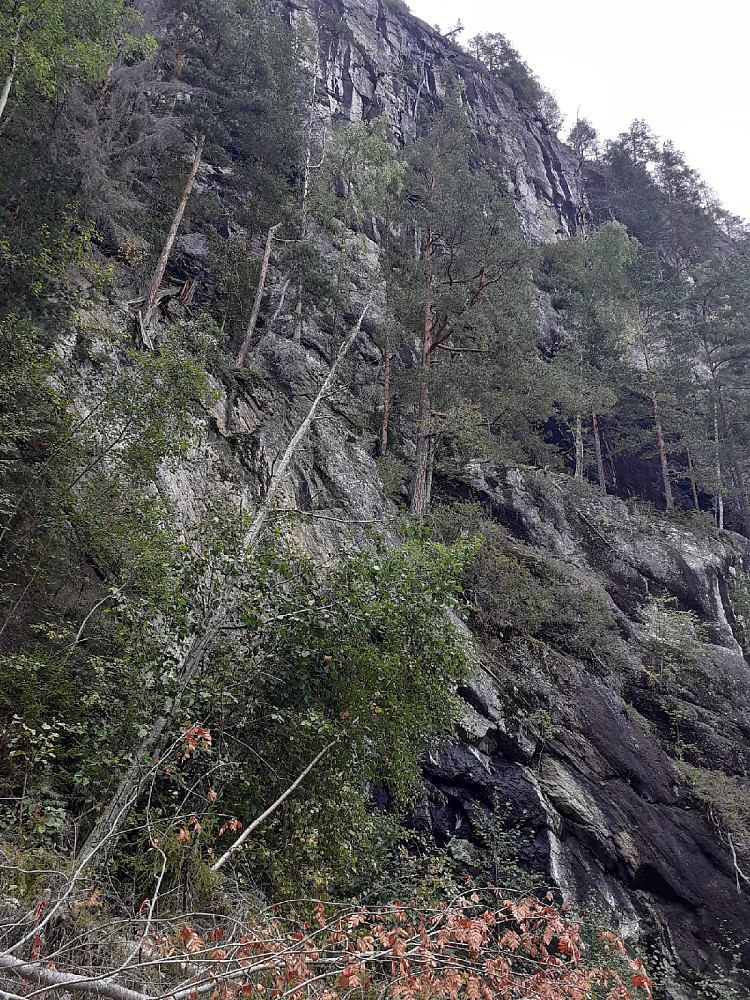 Knebergskollen hadde en stupbratt sørflanke.