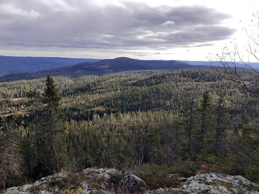 Skurveknatten