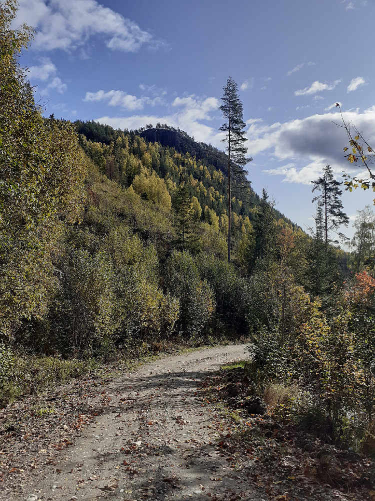 Stamskollen