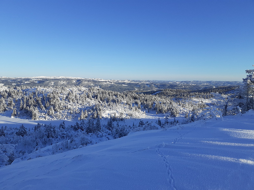 Mot Bjørgovarden i øst.