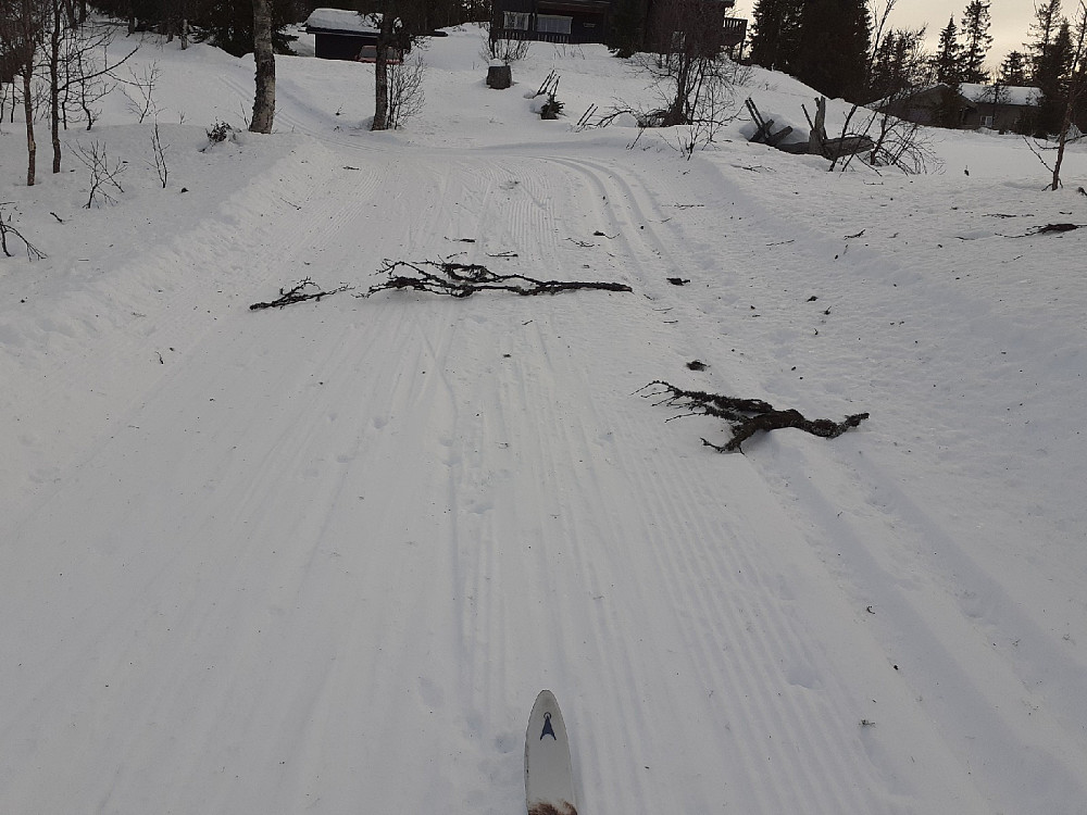 Vinden de siste dagene har gitt en del kvist og kvast i sporet, som nå var ganske isete.