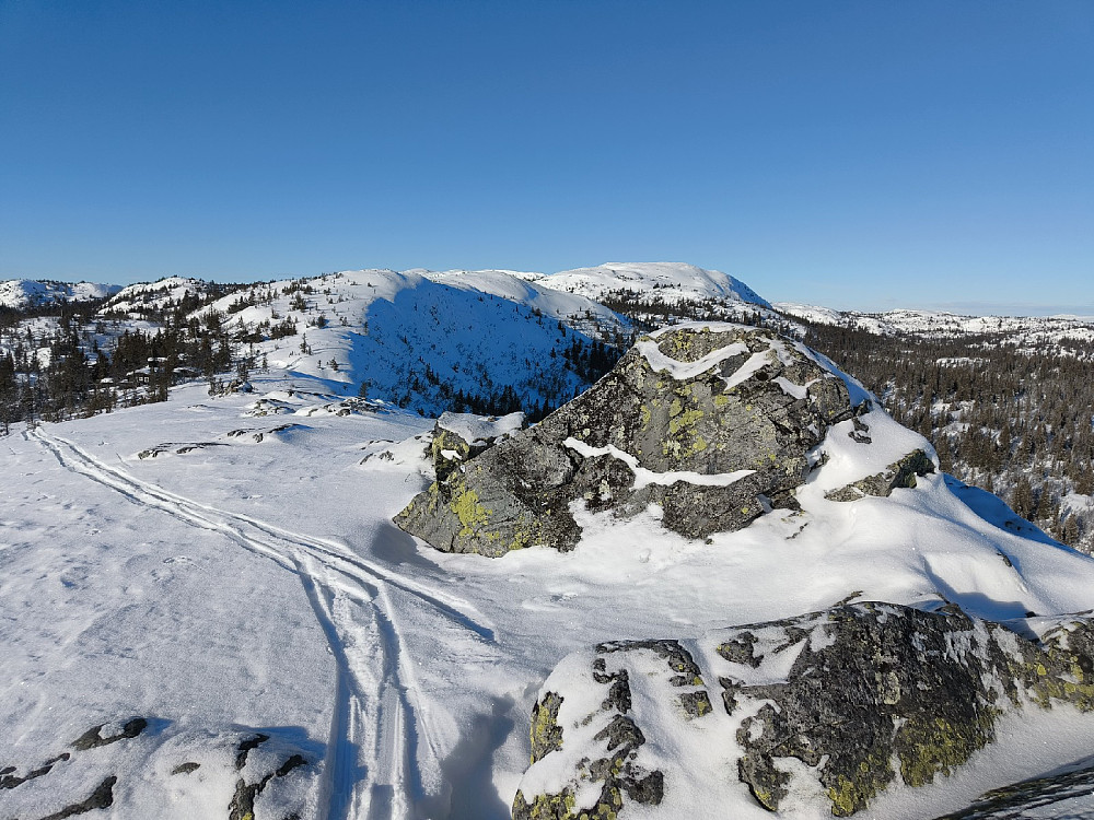 Tilbakeblikk på Sæterfjellet, med Bjørgovarden bak.