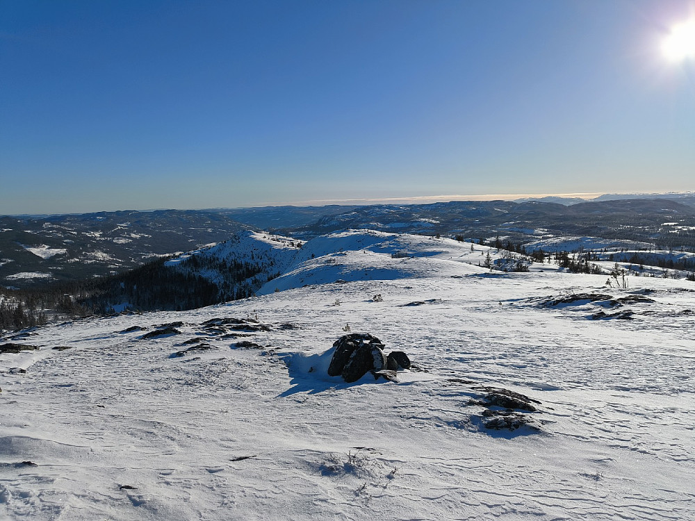 På Sæterfjellet, i retning av Fjellsvarden.