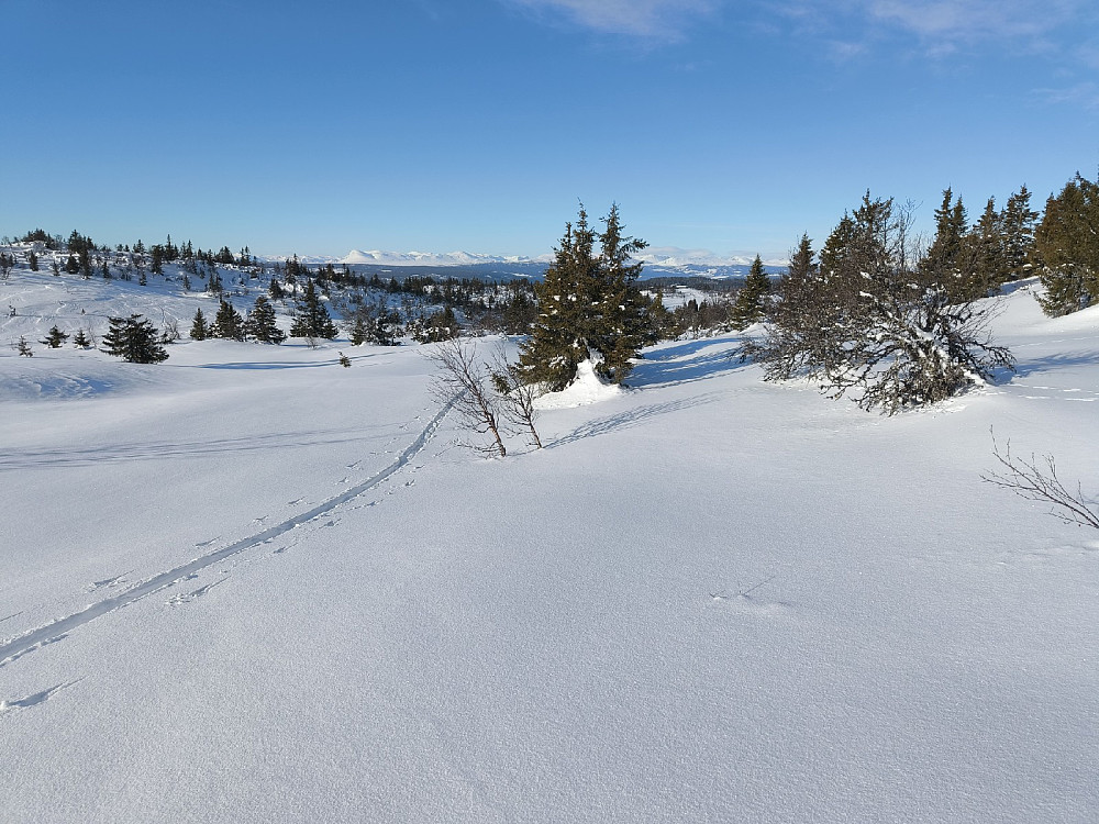 Ser tilbake på eget skispor, med Hemsedalsfjella i bakgrunnen, bl.a Skogshorn.