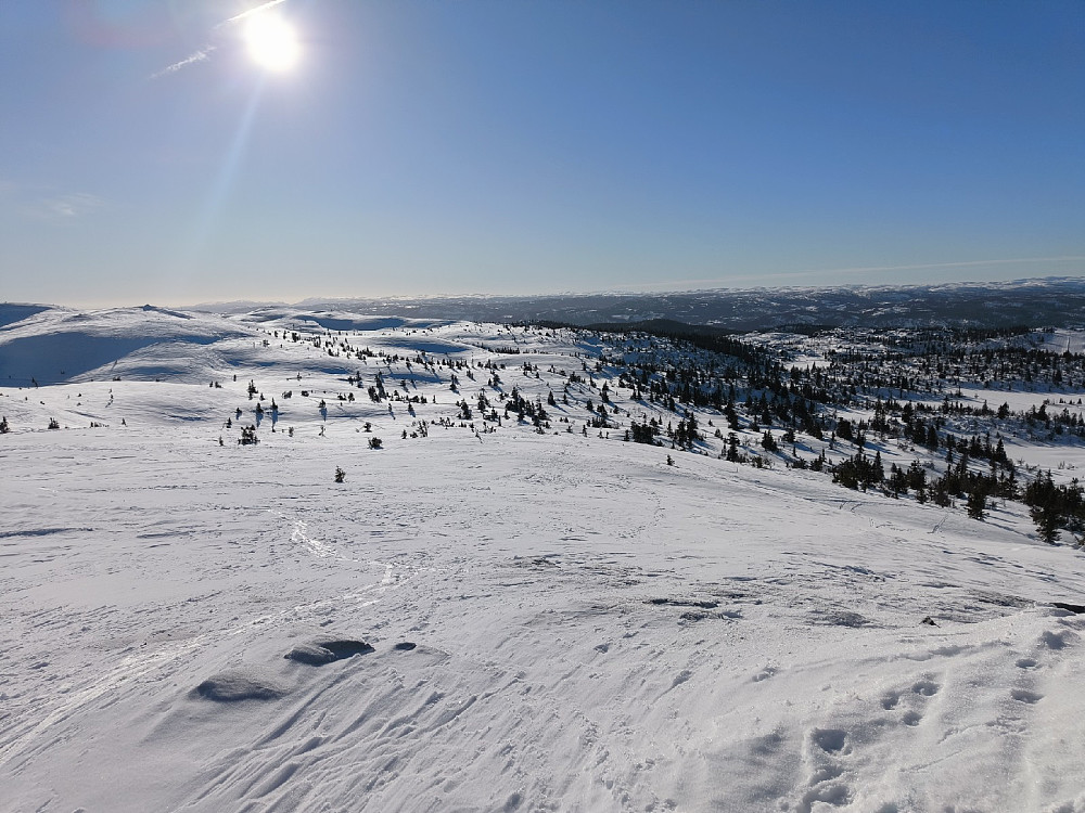 Aurdalsåsen i skikkelig vinterferievær.