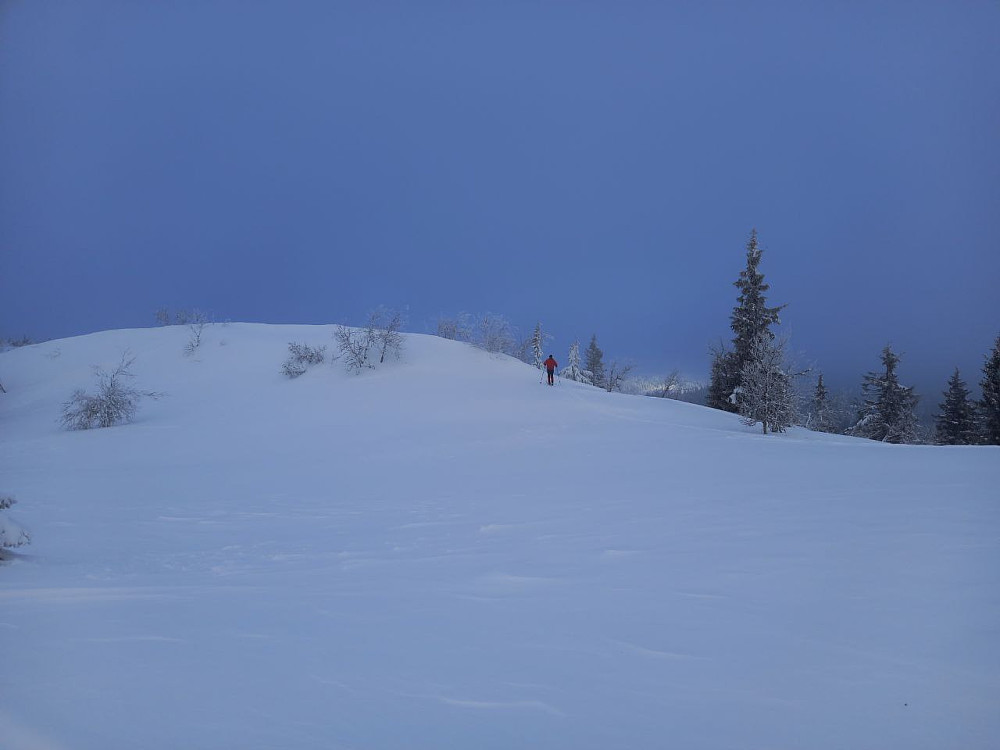Jeg gjorde noen små avstikkere opp på noen koller for å holde varmen. Sikten var så som så, og lyset ganske flatt.