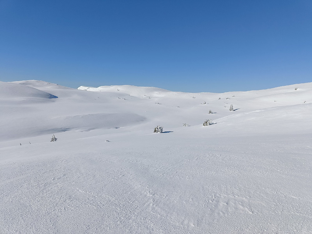 På vei opp mot Hollastølsfjellet, helt bak til venstre.