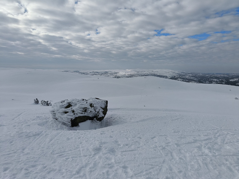 Noe flatt lys, sammen med de konturløse hvite flatene, gjorde at jeg ble litt sliten i øynene i dag.