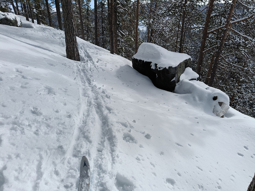 Kan aldri huske at jeg har vært her når det har vært så mye snø. Sitteplassene og hoggestabben min var helt borte under snøen.