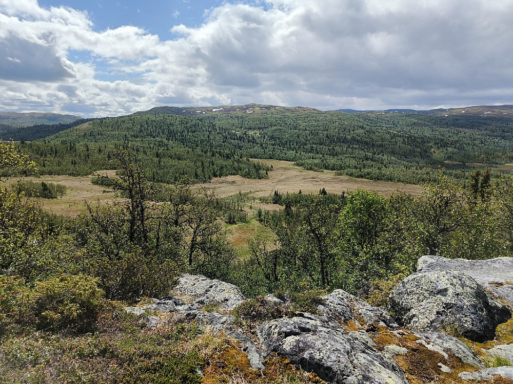 Falken sett fra Flageslettoppen i nord.
