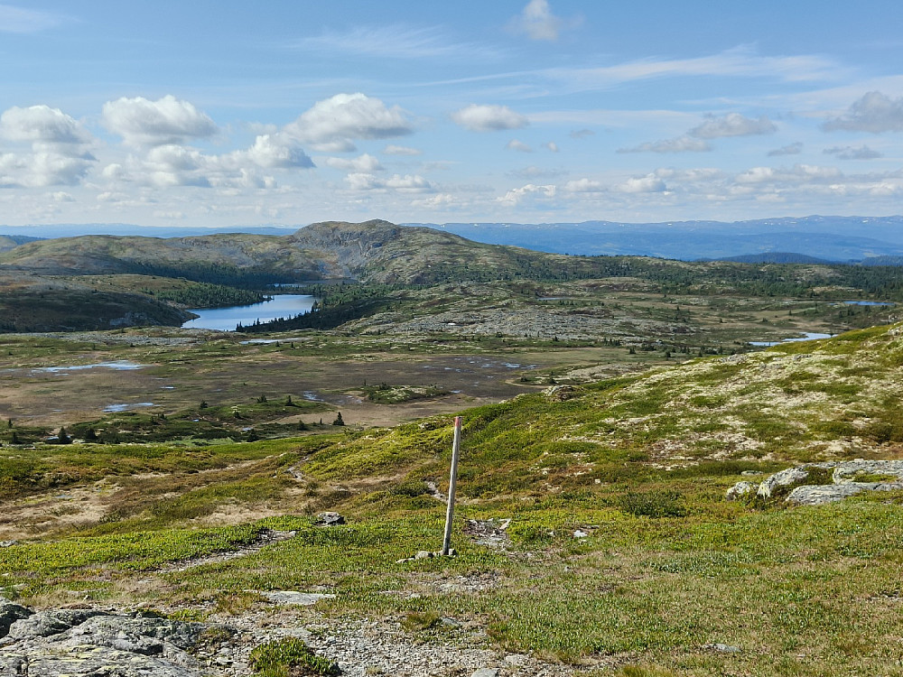 Mot Binnhovdknatten.