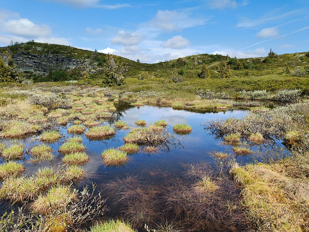 Tett oppunder "Nord for Smørlifjellet."