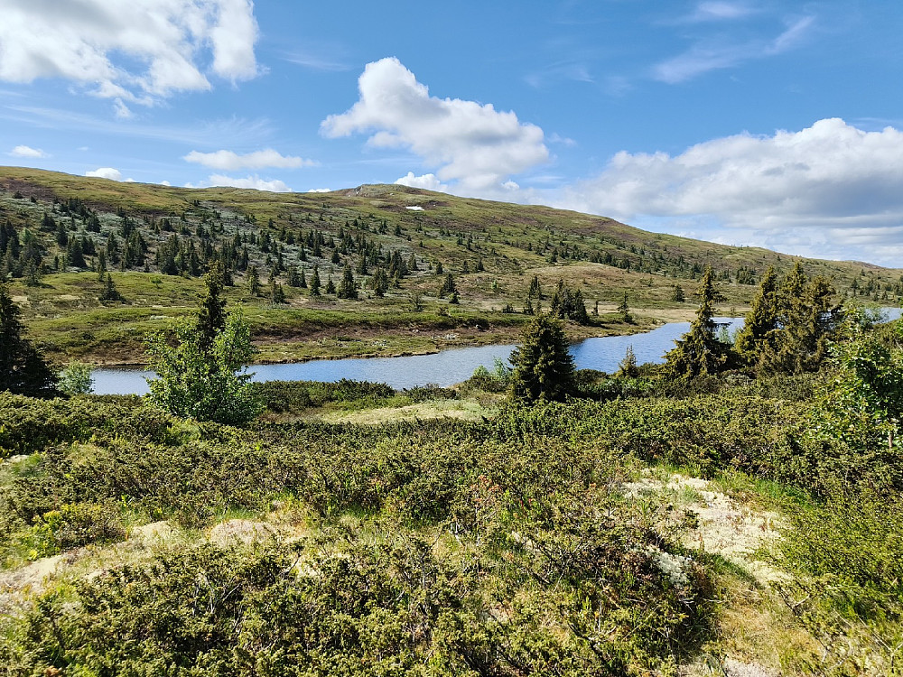 Smørlifjell sett fra Nord for Smørlifjell.