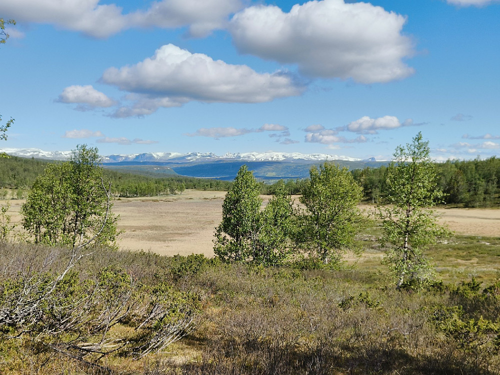 Hvitt i Jotunheimen, og Knutholstind i sentrum minnet om reineste K2.