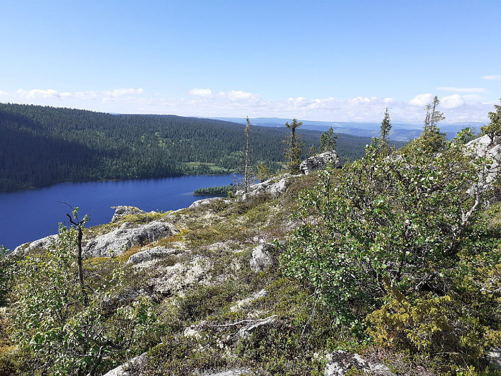 Det var svært varmt i solhellinga oppover i dag.