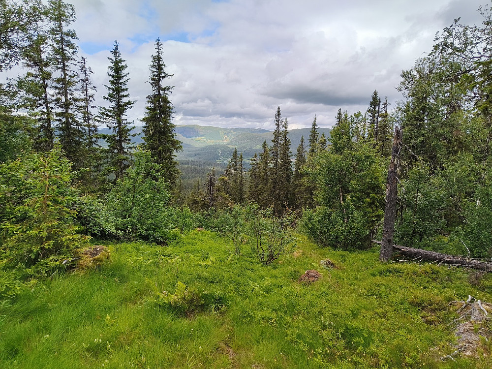 Mot Stavadalen, fra Høgehaugen