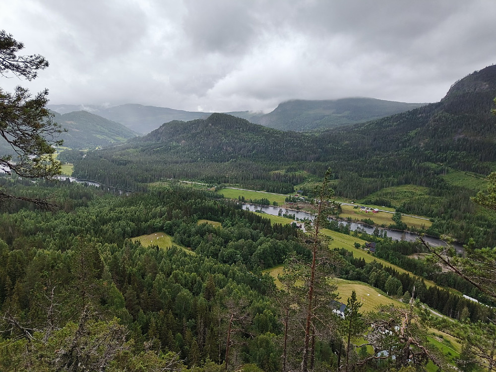 Hesjabakkollen