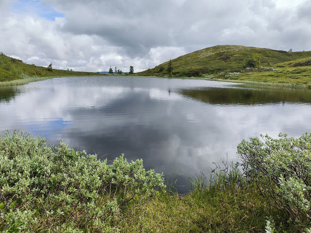Nordre Kalvetjern 1065 moh