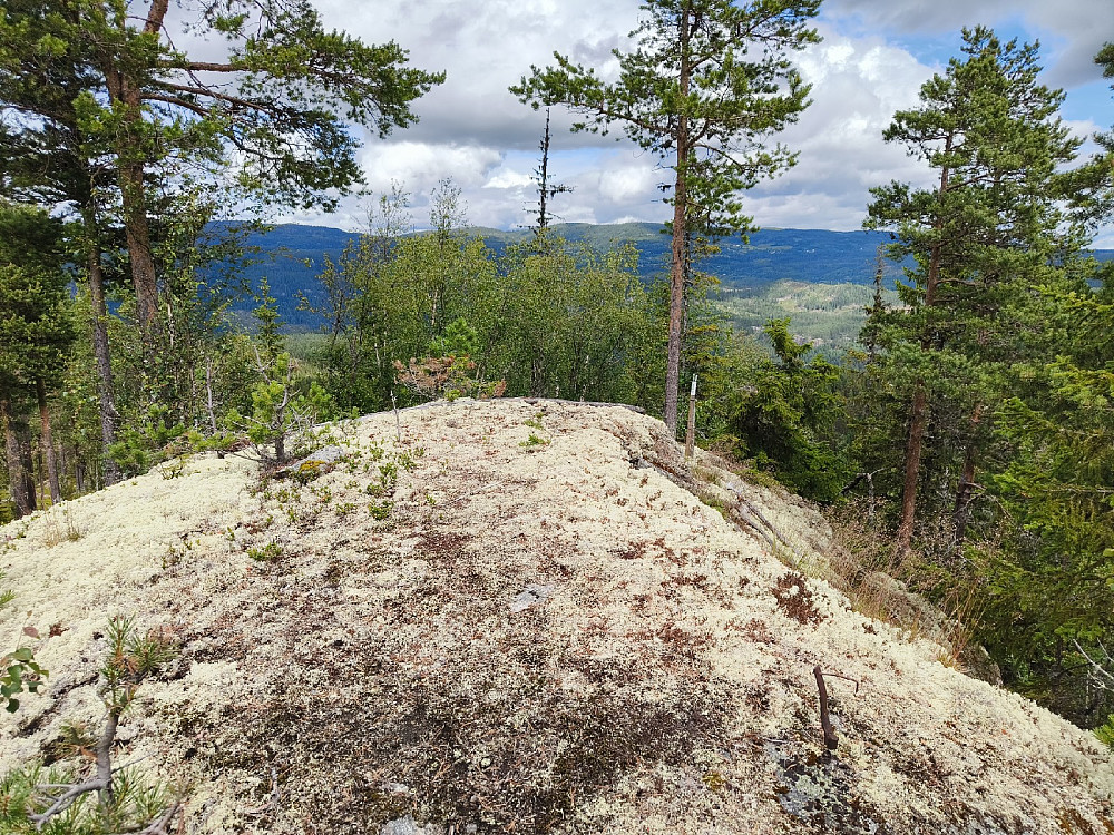 Sveinskollen.