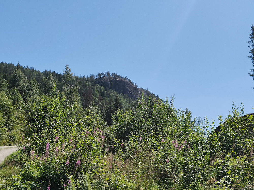 Stamskollen sett fra brattbakkene like ved - et populært turmål og utsiktspunkt i Begnadalen.