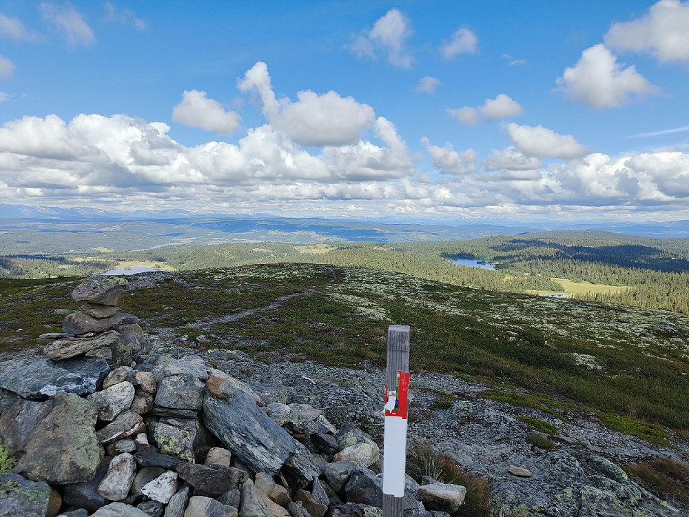 Stolpen jeg satte opp på Makalaus nylig, var allerede delvis vandalisert, sukk.