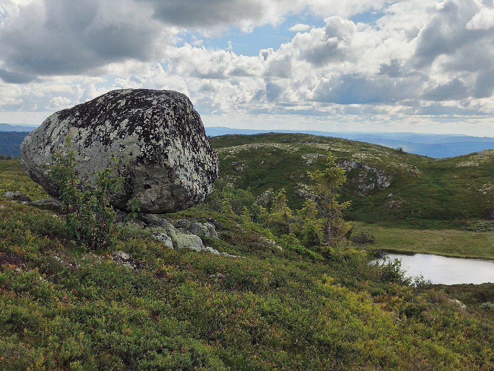 Tynna var ukjent for meg. Kjempesteinen på vippen oppe på høgda her, er en levning fra istiden.