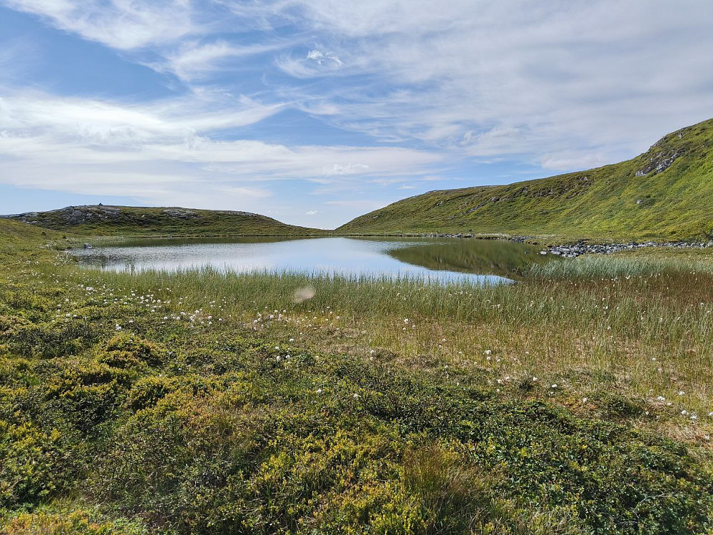 Idyll ved vann.