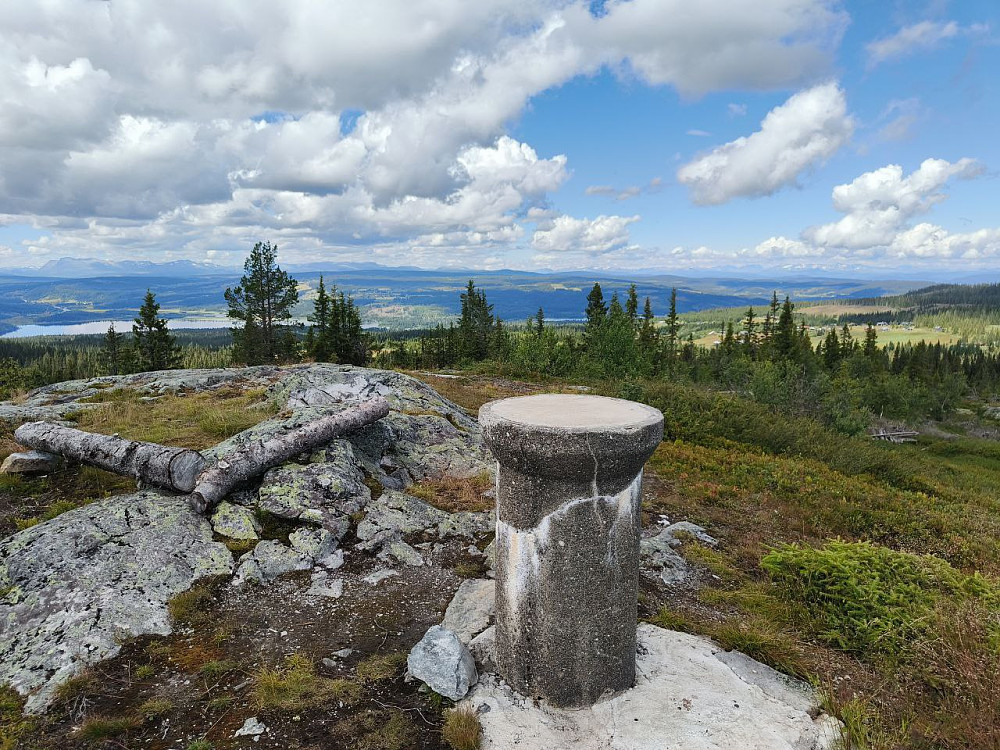 Fra Rishovda. Det var en kort, tørr og fin sti fra kjerreveien like i nord.