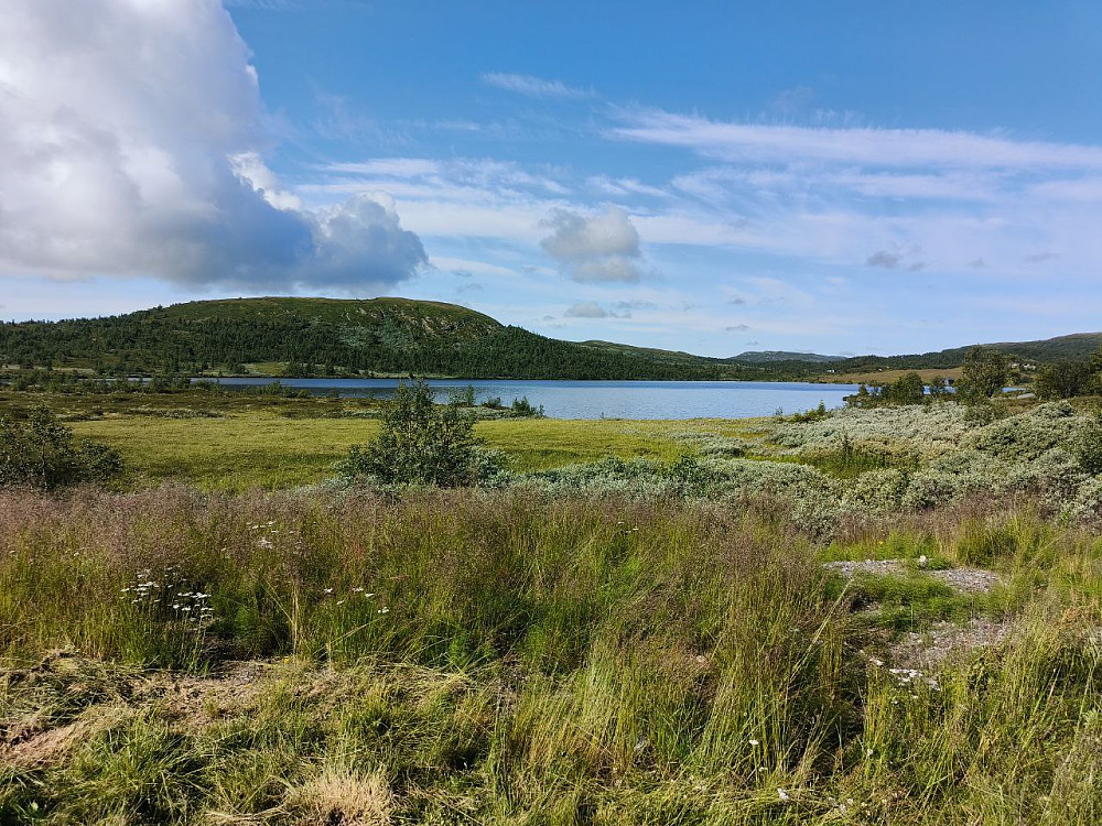 Rolig og pent og stille på Nordre Fjellstølen da jeg starta i dag litt før kl 10.