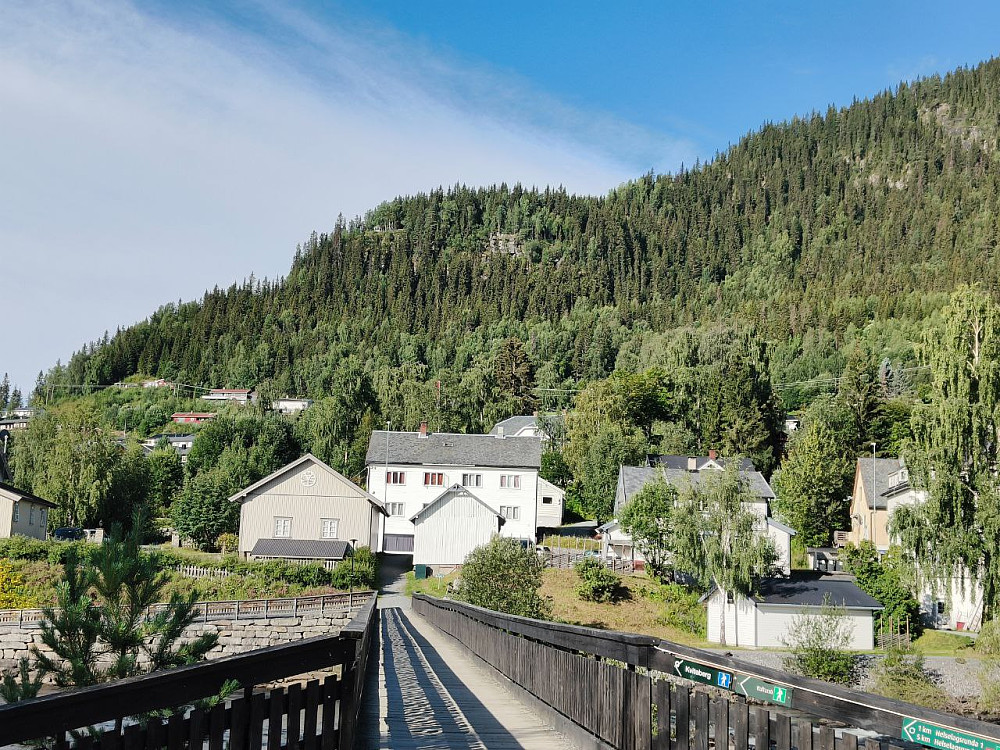 Kviteberg og utsiktpunktet kan så vidt skimtes oppi lia.