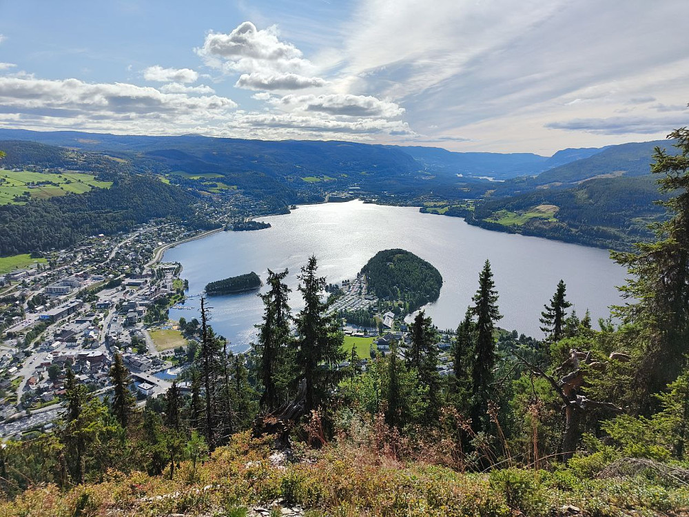 På Vardakamben. Visste ikke at det var en grønn nål like ved, så den ble ikke besøkt. Prisen å betale for ikke å bruke appen...