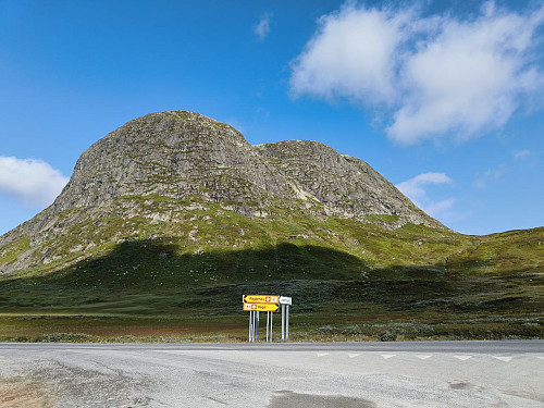 Renna det er snakk om anes sentralt i bildet, opp fra høyre side (øst). Den starter ved sadelen like vest for Lykkjenuten, og topper ut i sadelen mellom Synshorn og Synshorn Sør.