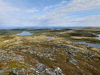 Olepetter_20240813_66bb43c678491.jpg